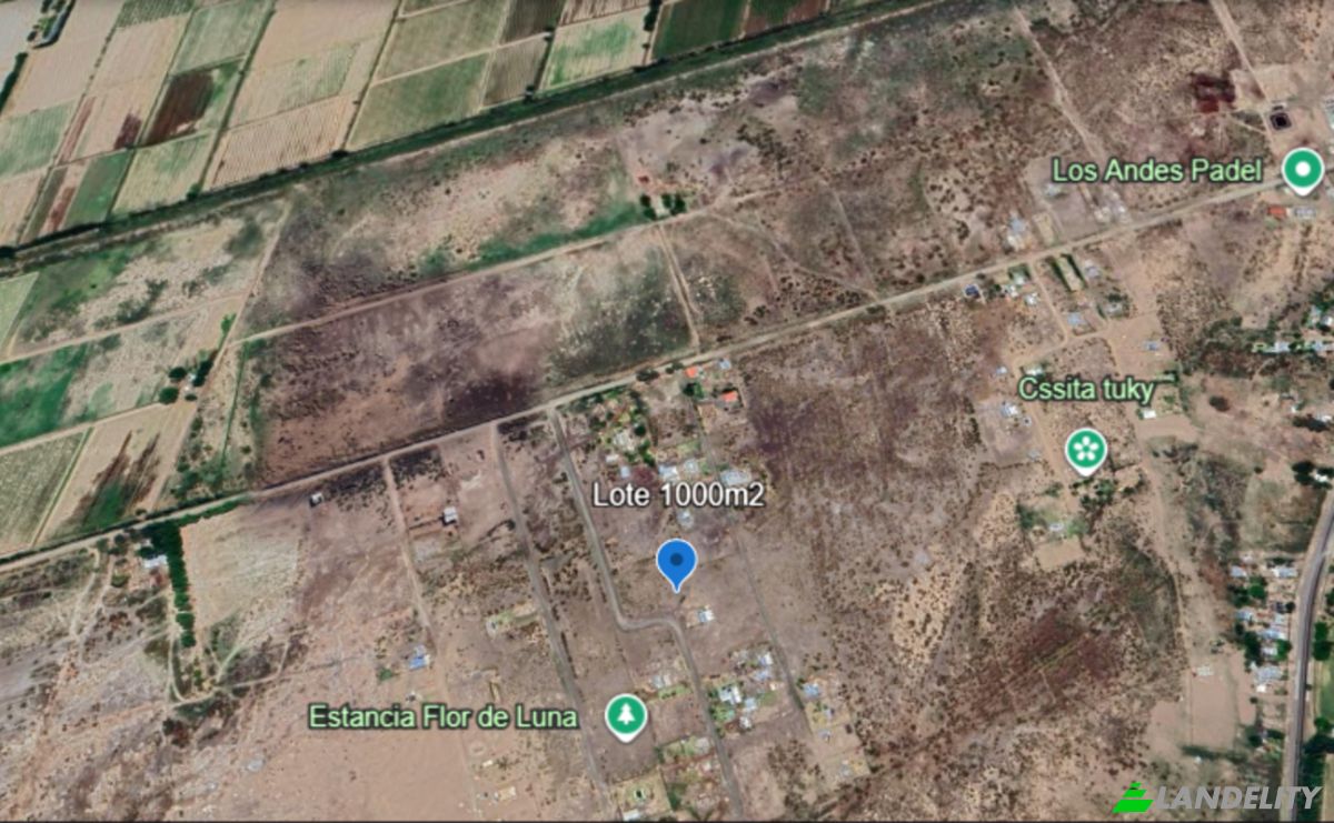 Grundstück zu verkaufen Villa Tulumaya, Lavalle Department, Mendoza Province, Argentina. Foto 4