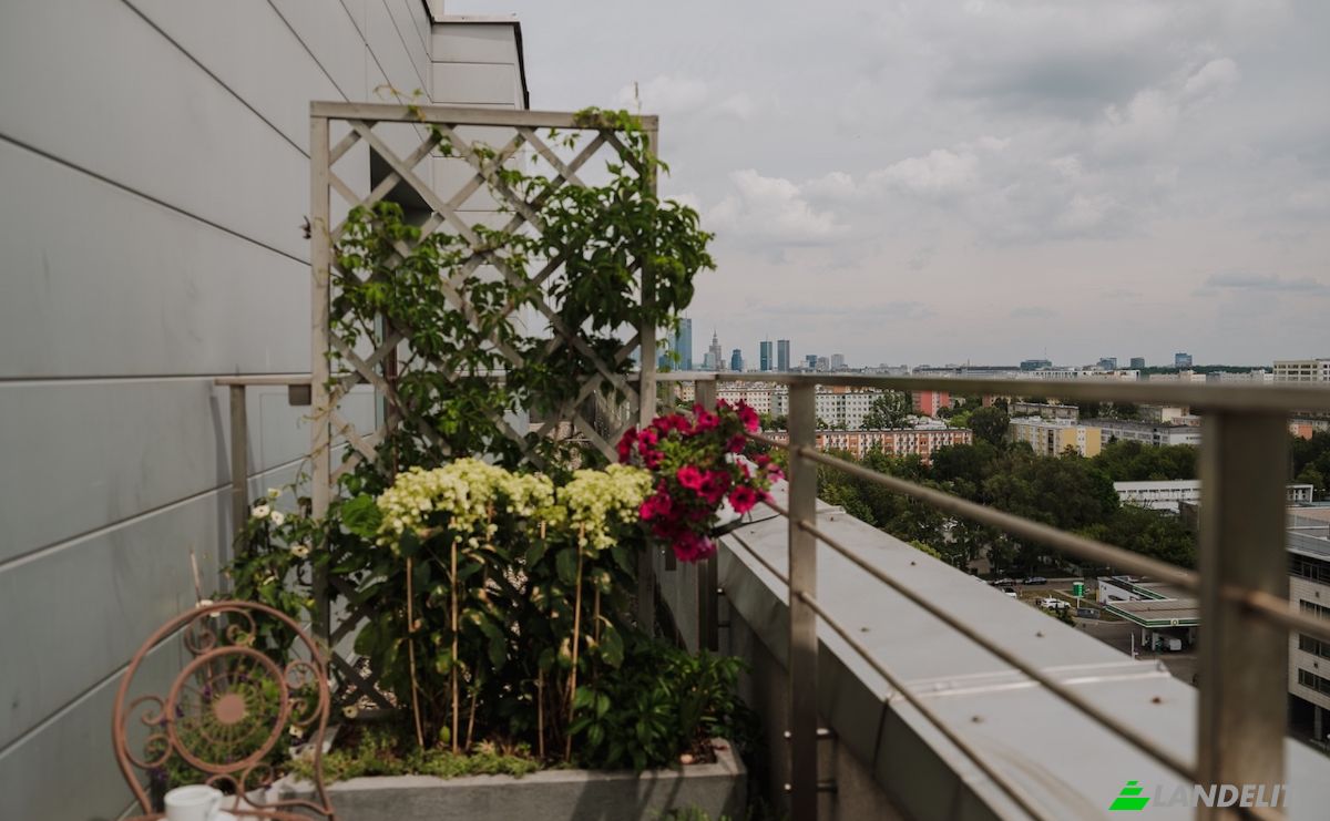 Wohnung zu verkaufen Grojecka 164, 02-120 Warszawa, Warsaw, Masovian Voivodeship, Poland. Foto 6