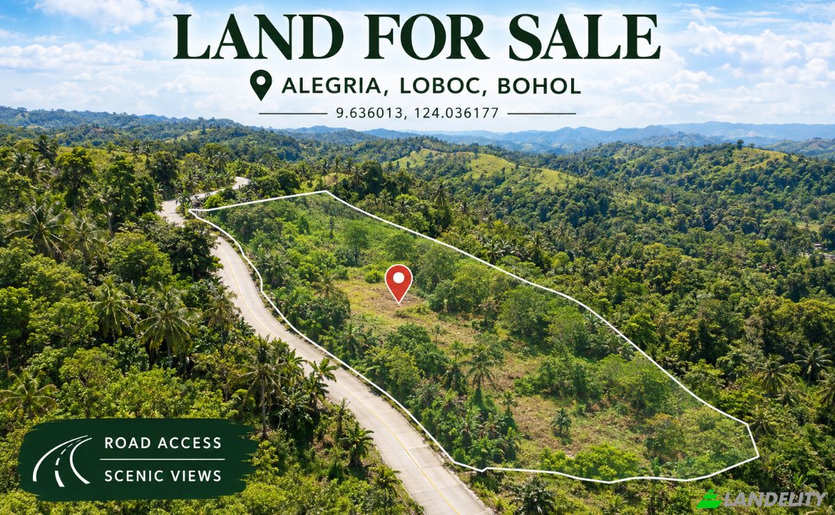 Lot de terrain à vendre Loboc, Bohol, Central Visayas, Philippines. Photo 1
