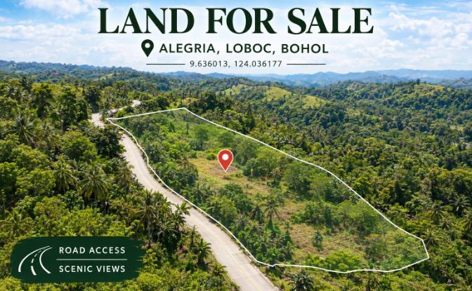 Lotto di terreno in vendita - Loboc, Philippines