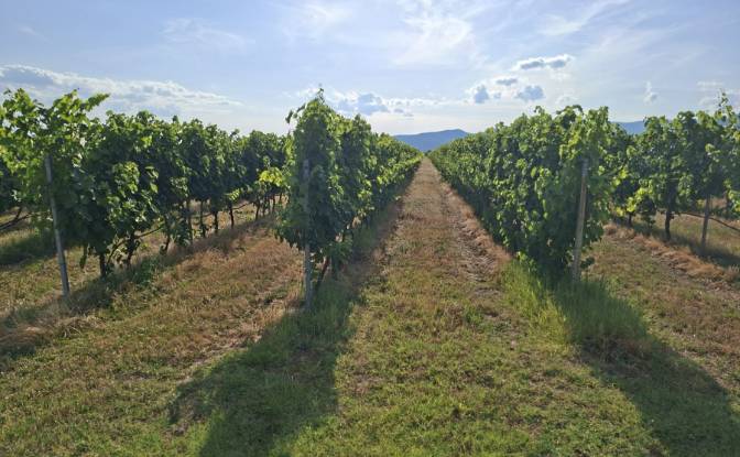 Lote de terreno en venta Matenita, Hisarya. Foto#3 Lote de terreno en venta Matenita, Hisarya. Foto#3
