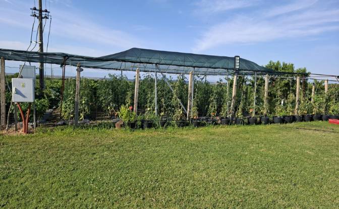 Lote de terreno en venta Matenita, Hisarya. Foto#6 Lote de terreno en venta Matenita, Hisarya. Foto#6
