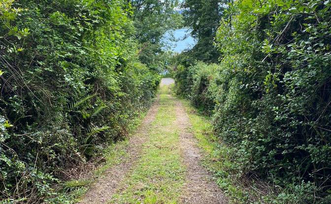 Land Lot for Sale Calle Linea Ferrea 100. Photo#2 Land Lot for Sale Calle Linea Ferrea 100. Photo#2