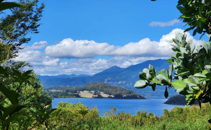 Land Lot for Sale Calle Linea Ferrea 100. Photo#3 Land Lot for Sale Calle Linea Ferrea 100. Photo#3