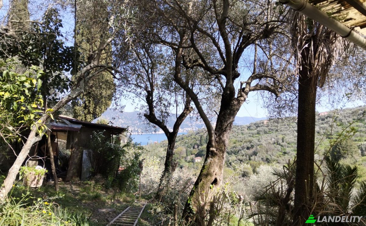 Villa for Sale V Costasecca, 16038 Santa Margherita Ligure GE, Santa Margherita Ligure, Metropolitan City of Genoa, Liguria, Italy. Photo 2