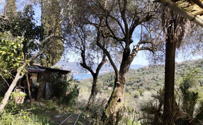 Villa for Sale V Costasecca. Photo#2