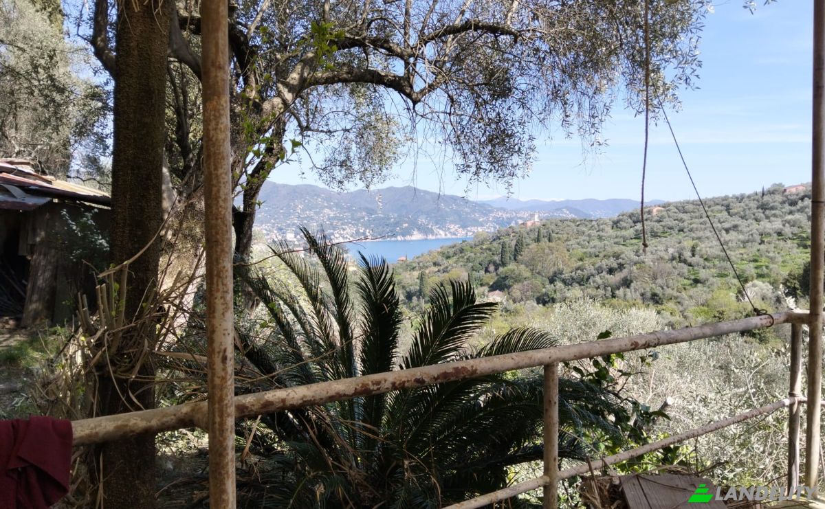 Villa for Sale V Costasecca, 16038 Santa Margherita Ligure GE, Santa Margherita Ligure, Metropolitan City of Genoa, Liguria, Italy. Photo 5