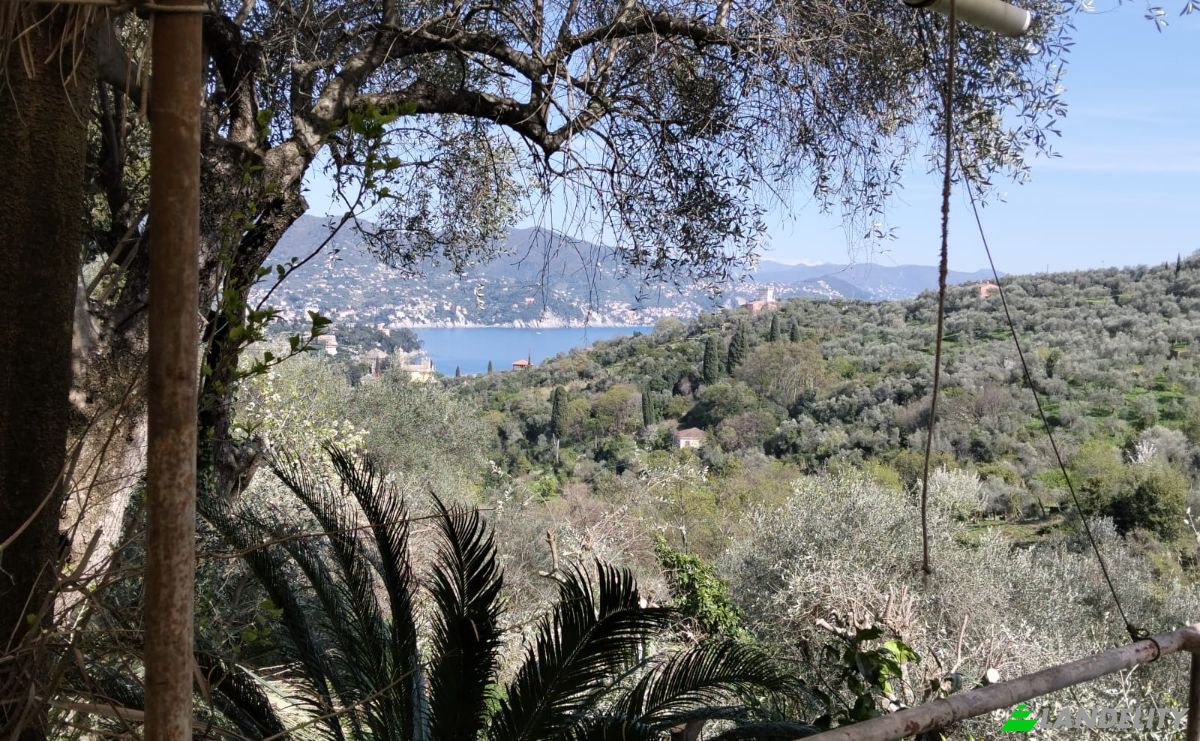 Villa for Sale V Costasecca, 16038 Santa Margherita Ligure GE, Santa Margherita Ligure, Metropolitan City of Genoa, Liguria, Italy. Photo 4