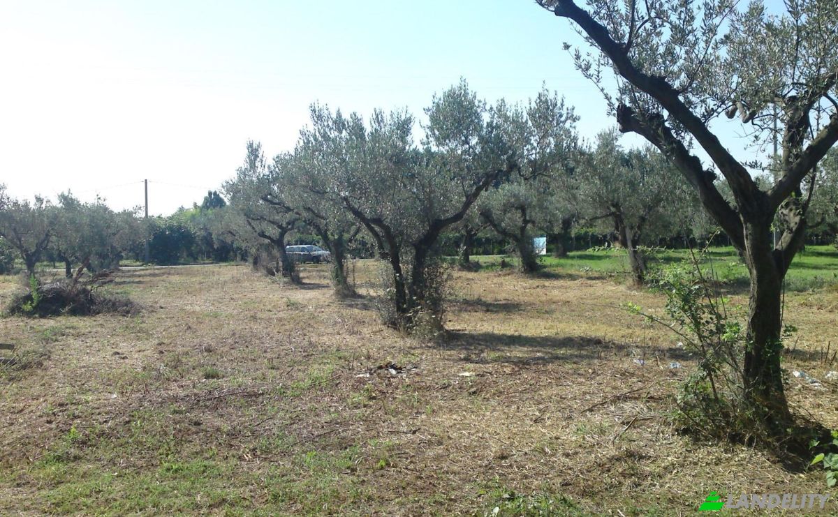 Land Lot for Sale Contrada Scalzino, 66020 Rocca San Giovanni CH, Rocca San Giovanni, Province of Chieti, Abruzzo, Italy. Photo 2