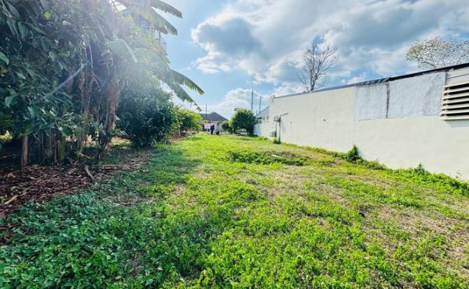 Land Lot for Sale 10177 Soi Naiyang 13 4. Photo#4