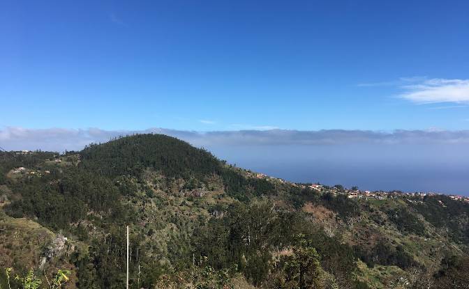 Lotto di terreno in vendita - Camacha, Portugal