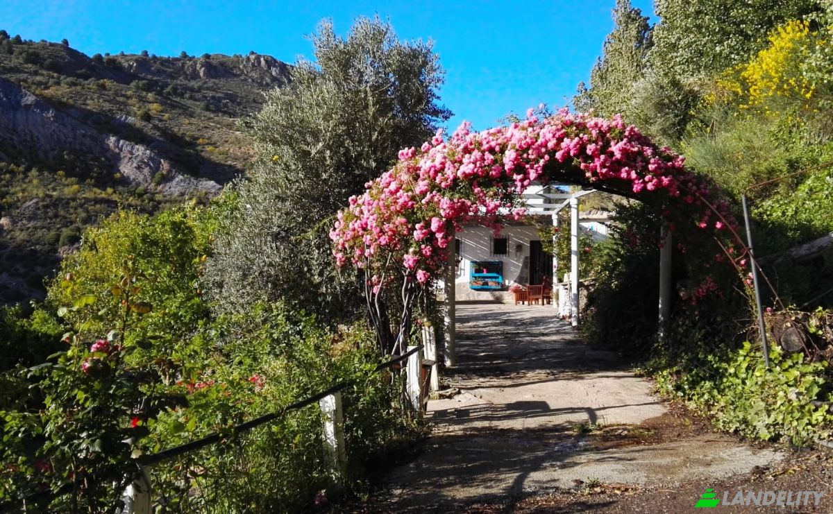 Granja/Rancho en venta Torvizcón, Granada, Andalucía, España. Foto 2