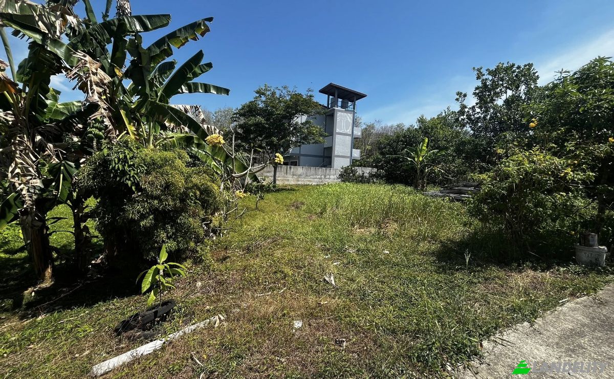 Działka na sprzedaż 10177 Soi Naiyang 13 4, Tambon Sa Khu, Amphoe Thalang, Chang Wat Phuket 83110, Sakhu, Thalang District, Phuket, Thailand. Zdjęcie 6