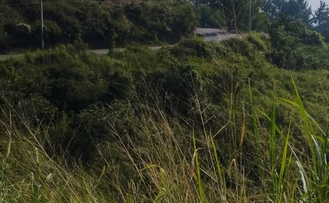 Investing/Development for Sale Via a Cristo Rey. Photo#12 Investing/Development for Sale Via a Cristo Rey. Photo#12