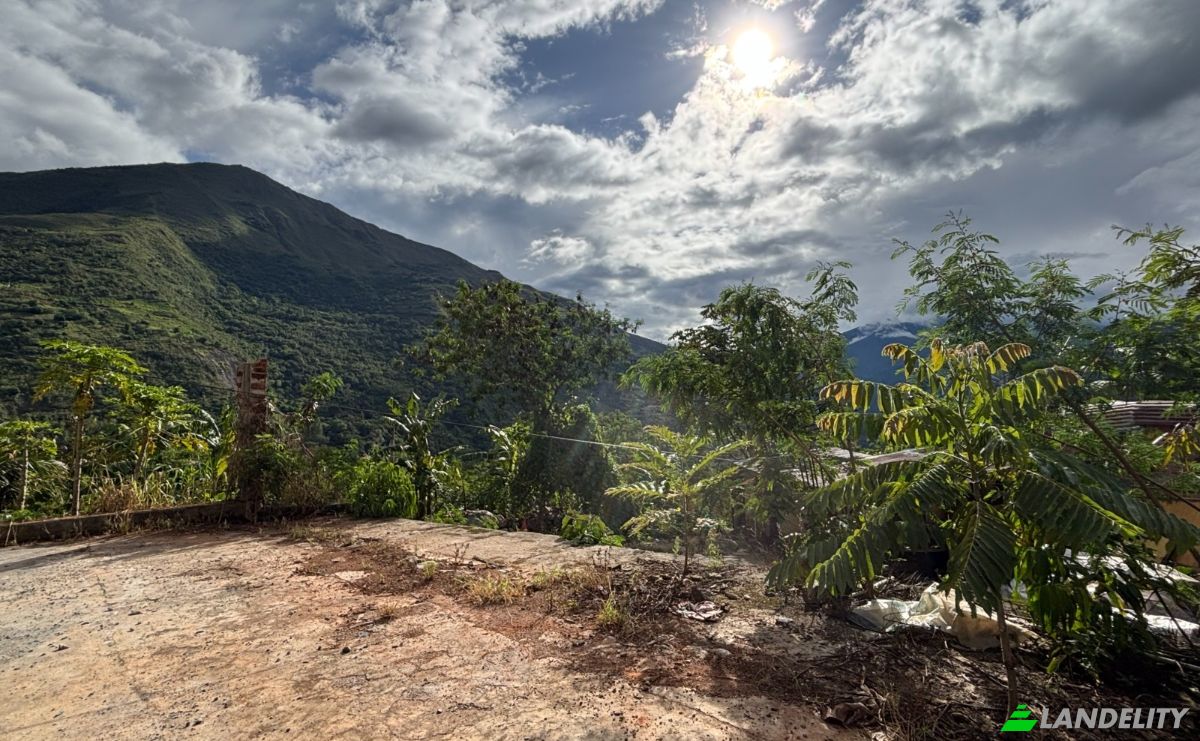 Land Lot for Sale 28B, 08700, Huayopata, La Convencion Province, Cusco, Peru. Photo 3