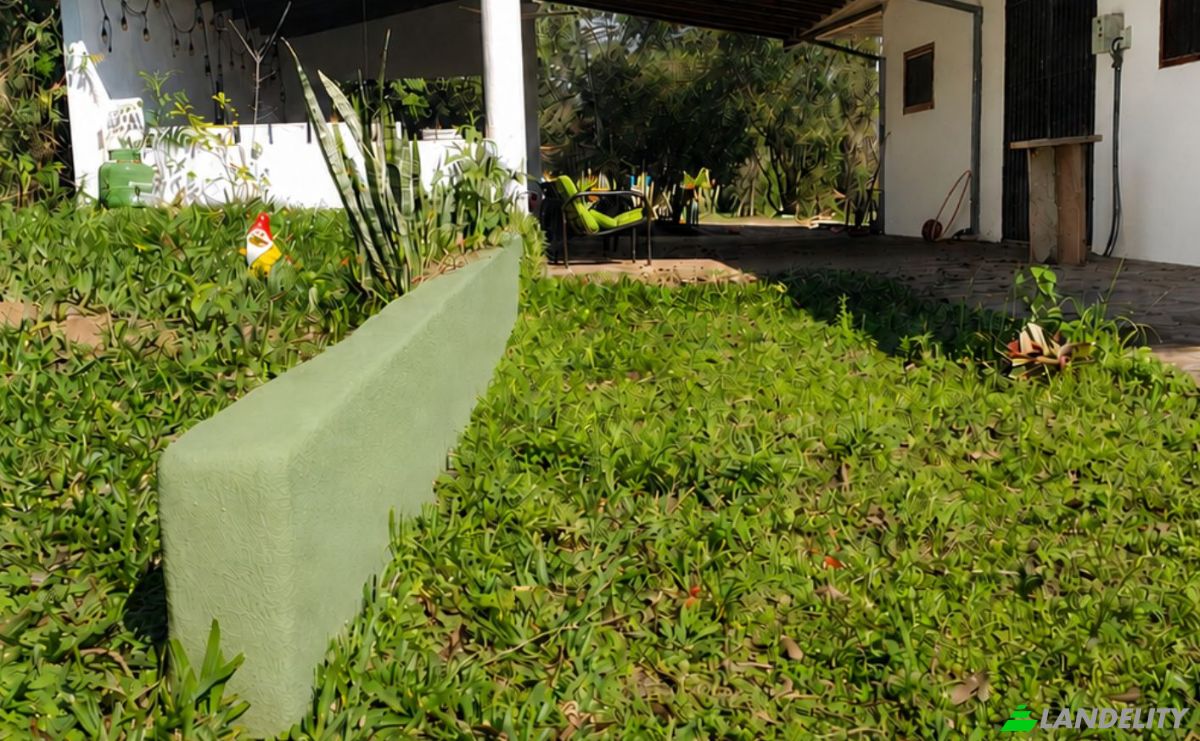 Bungalow en venta Vista Alegre 040713, Vista Alegre, Independencia, Guairá, Paraguay. Foto 5