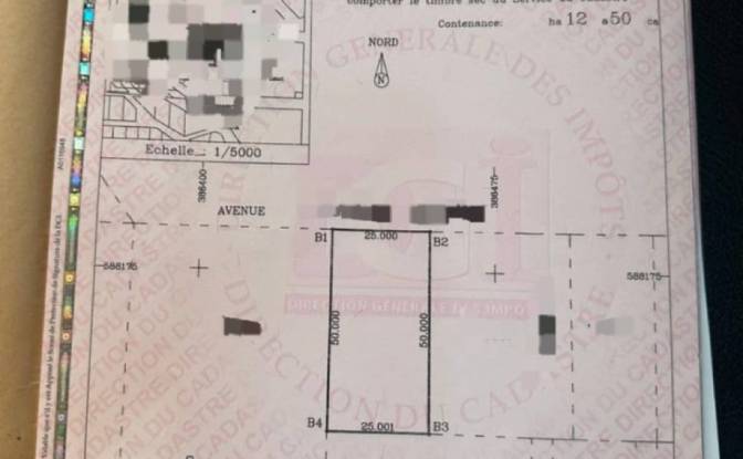 Investing/Development for Sale 3 Av Chardy. Photo#1