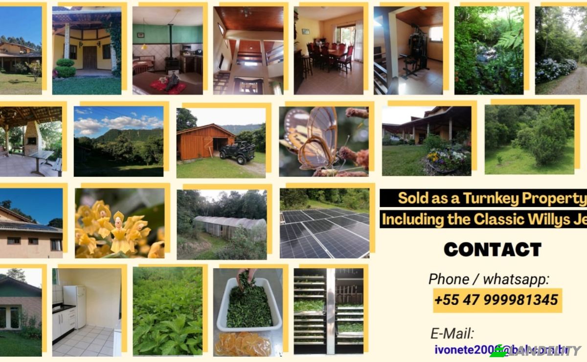 Farm/Ranch for Sale Estr Serra dos Alves, 13142, Petrolandia, Agrolandia, State of Santa Catarina, Brazil, 88420-000. Photo 3
