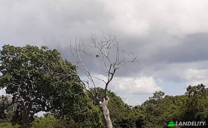 Земля/Ділянка продаж Eluwankulama, Puttalam. Фото#2
