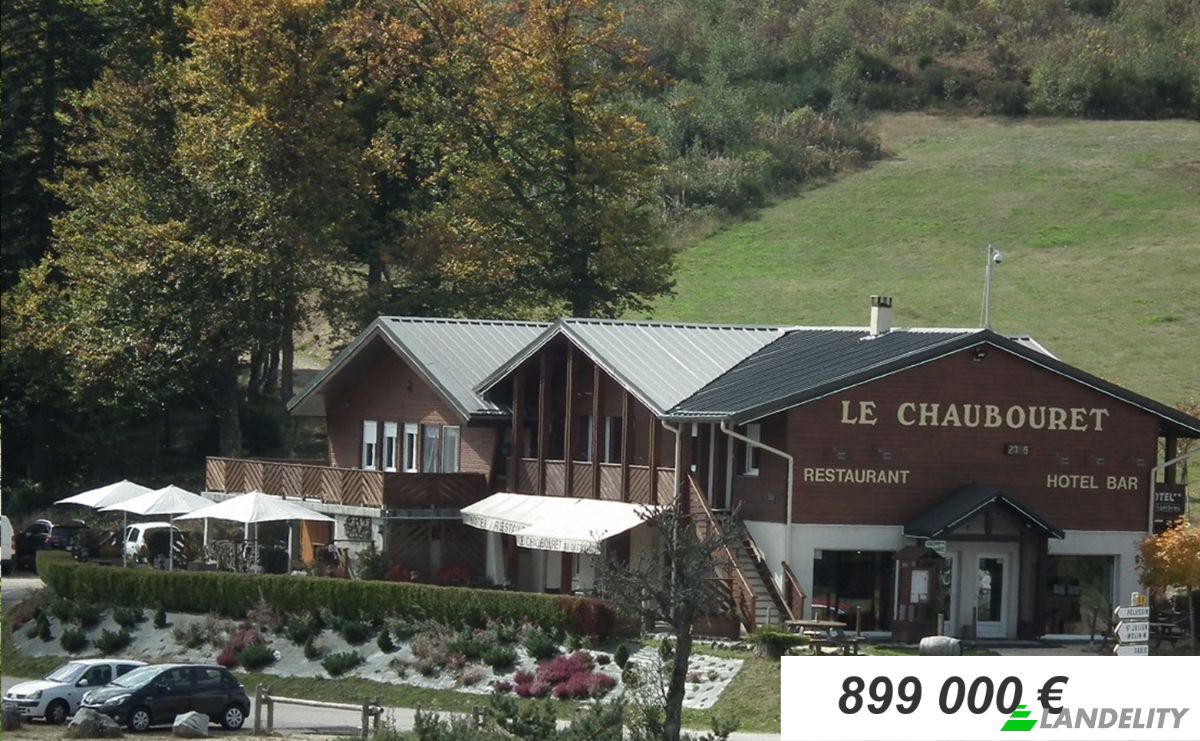 Investeren/Ontwikkelen Te koop 1144 Bois Paradis, 42660 Thelis-la-Combe, Thelis-la-Combe, Loire, Auvergne-Rhone-Alpes, France. Foto 1