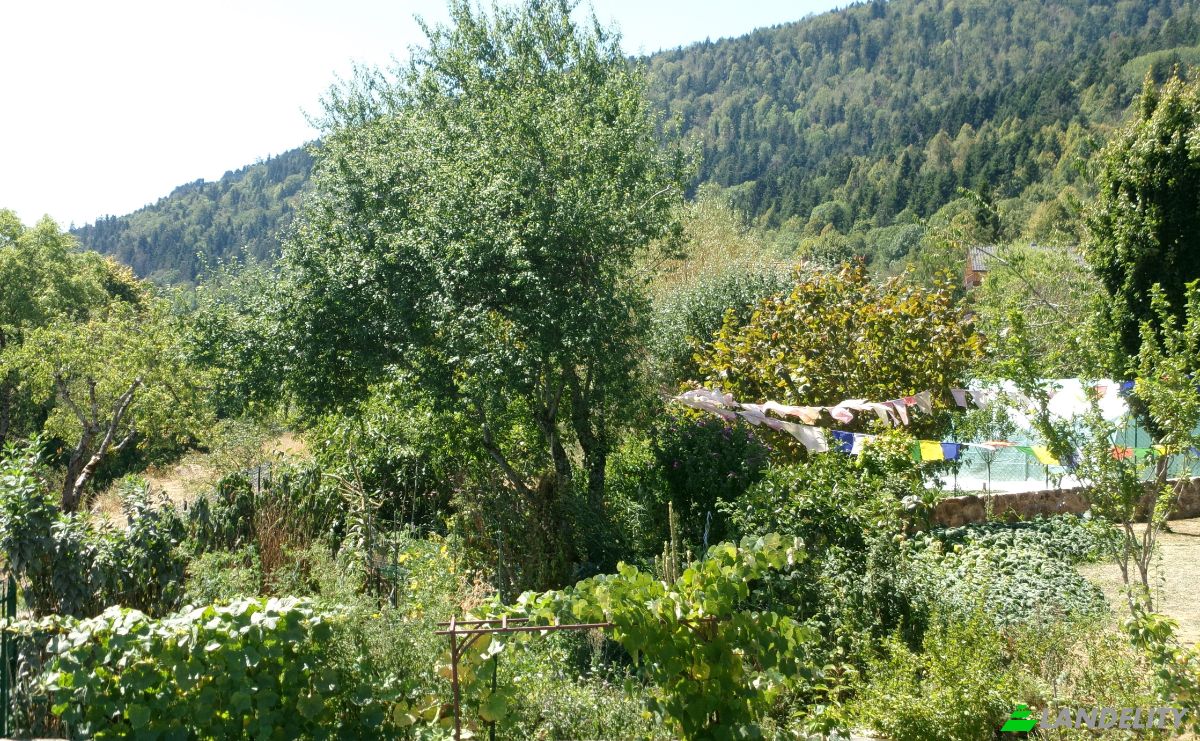 Casa de una sola familia en venta 125 Rue du Mollard, 01260 Haut Valromey, Haut-Valromey, Ain, Auvergne-Rhone-Alpes, France. Foto 10