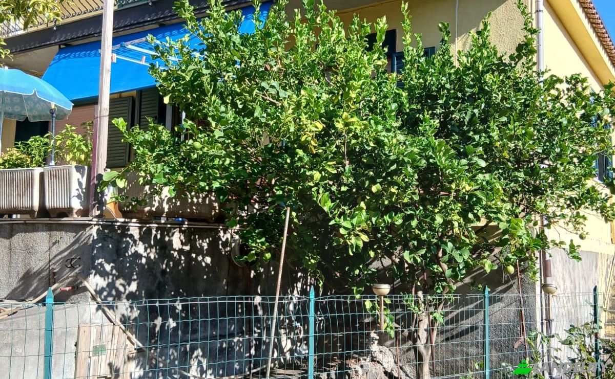 Villa à vendre Via Pietramarina, 95012 Verzella CT, Verzella, Metropolitan city of Catania, Sicily, Italy. Photo 8