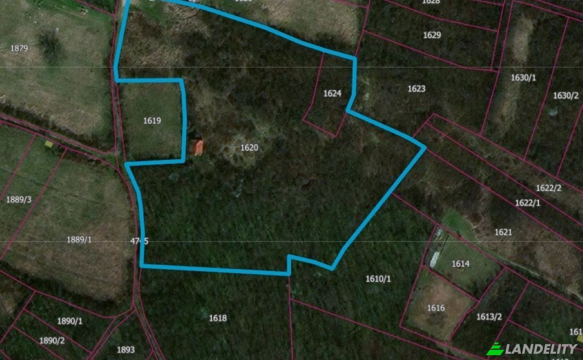 Lote de terreno en venta Jagodina, Pomoravlje District, Serbia. Foto 2