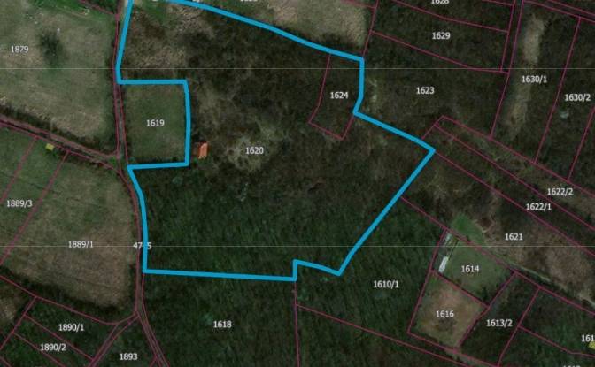 Lote de terreno en venta Jagodina. Foto#2