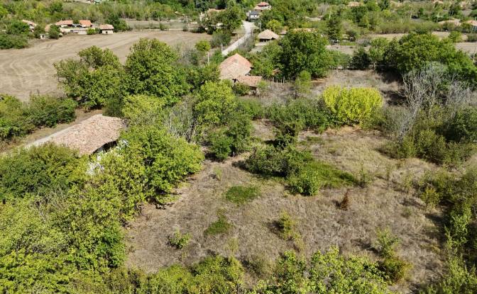 Farma/Ranczo na sprzedaż 9233 Ovchaga, Ovchaga. Zdjęcie#2 Farma/Ranczo na sprzedaż 9233 Ovchaga, Ovchaga. Zdjęcie#2