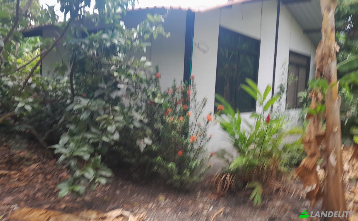 Boerderij/Ranch Te koop San LORENZO, Armero, Tolima, Colombia. Foto 22