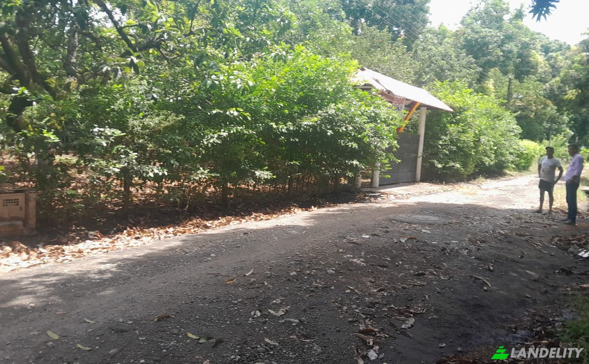 Boerderij/Ranch Te koop San LORENZO, Armero, Tolima, Colombia. Foto 4