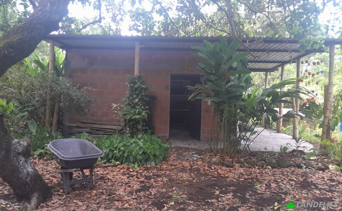 Boerderij/Ranch Te koop San LORENZO, Armero, Tolima, Colombia. Foto 5