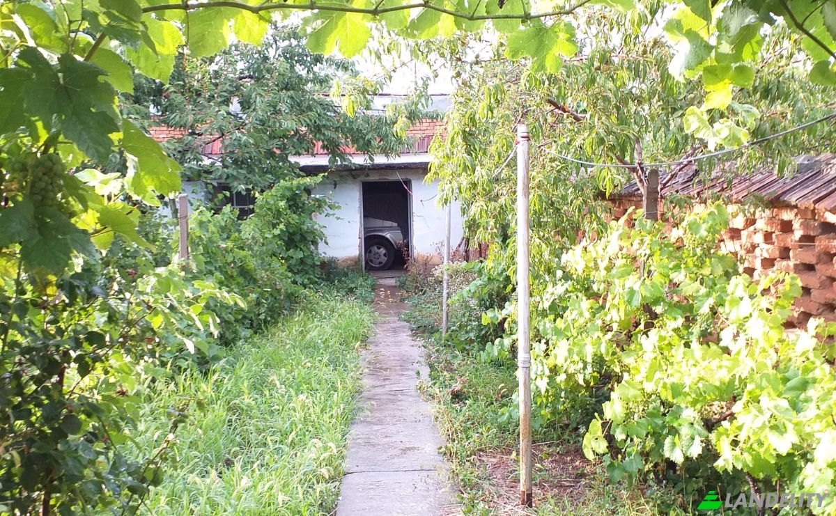 Einfamilienhaus zu verkaufen 3360 Rogozen, Rogozen, Hayredin, Vratsa, Bulgaria. Foto 14