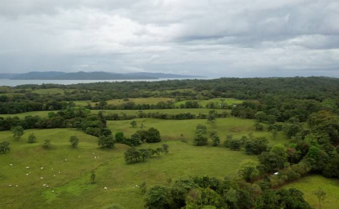 Inversión/Desarrollo en venta - Santa Catalina, Panamá