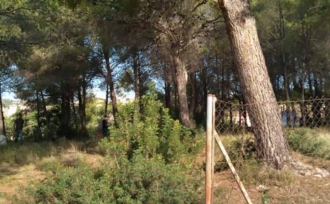 Grondperceel Te koop Carrer Acacies, Cunit. Foto#9 Grondperceel Te koop Carrer Acacies, Cunit. Foto#9