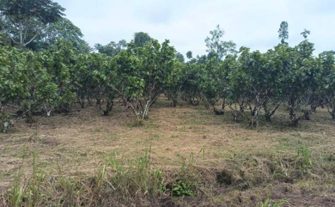 Inversión/Desarrollo en venta - Puerto Morona, Ecuador