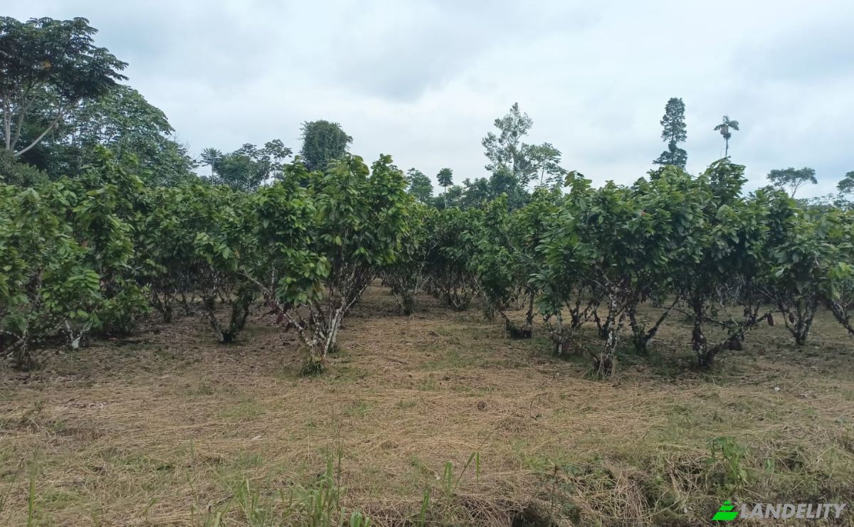 Inversión/Desarrollo en venta E40, Puerto Morona, Tiwintza, Morona-Santiago, Ecuador. Foto 2