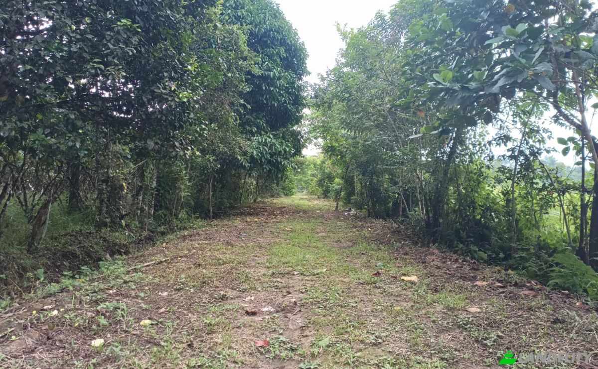 Inversión/Desarrollo en venta E40, Puerto Morona, Tiwintza, Morona-Santiago, Ecuador. Foto 4