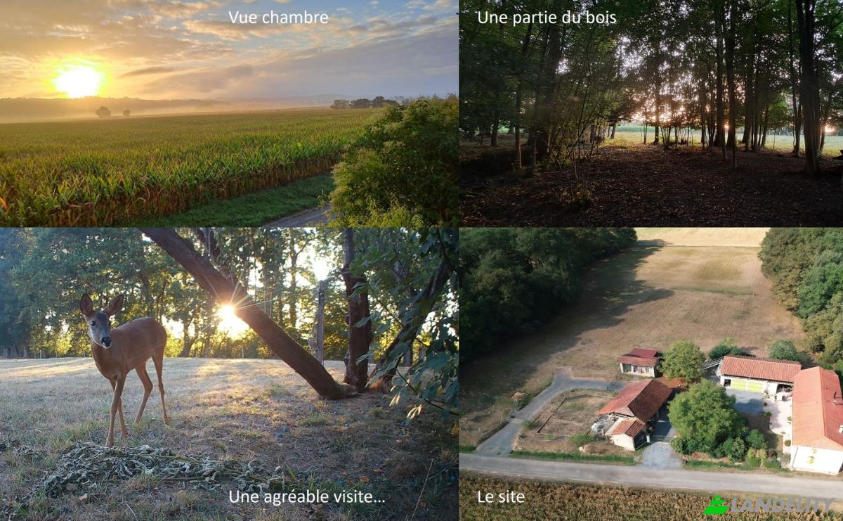 Farm/Ranch for Sale 127 Jouanous, 65140 Buzon, Buzon, Hautes-Pyrenees, Occitanie, France. Photo 20