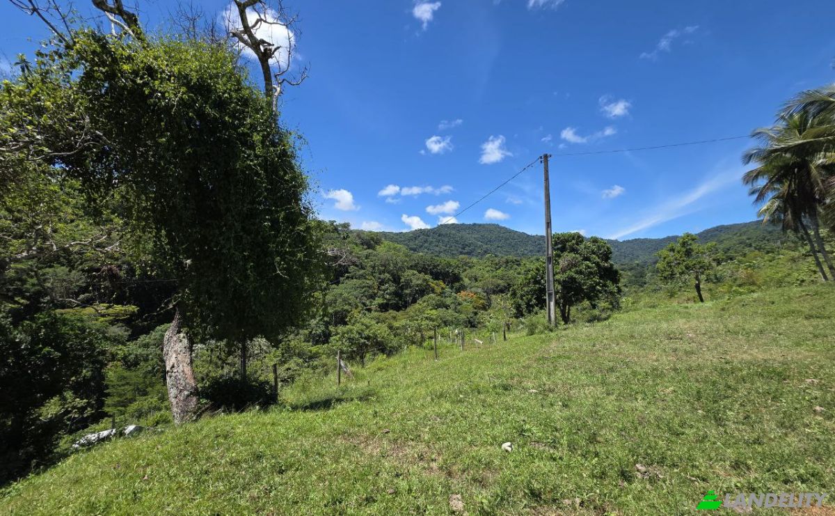 Fattoria/Ranch in vendita Banco Central, Ilheus, Bahia, Brazil. Foto 14