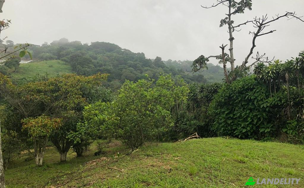 Single Family Home for Sale Alajuela Province, Valverde Vega, Costa Rica. Photo 8