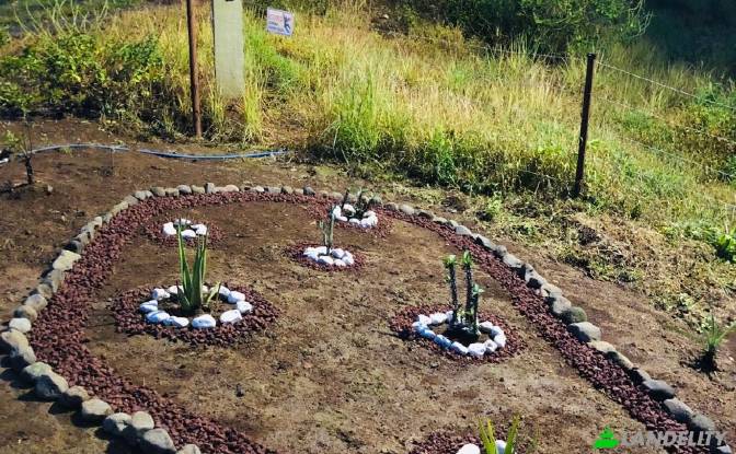 Single Family Home for Sale Alajuela Province. Photo#10