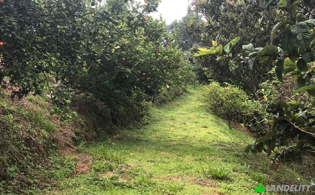 Single Family Home for Sale Alajuela Province, Valverde Vega, Costa Rica. Photo 9