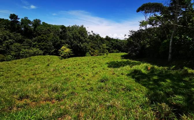 Land Lot for Sale - Puntarenas Province, Costa Rica