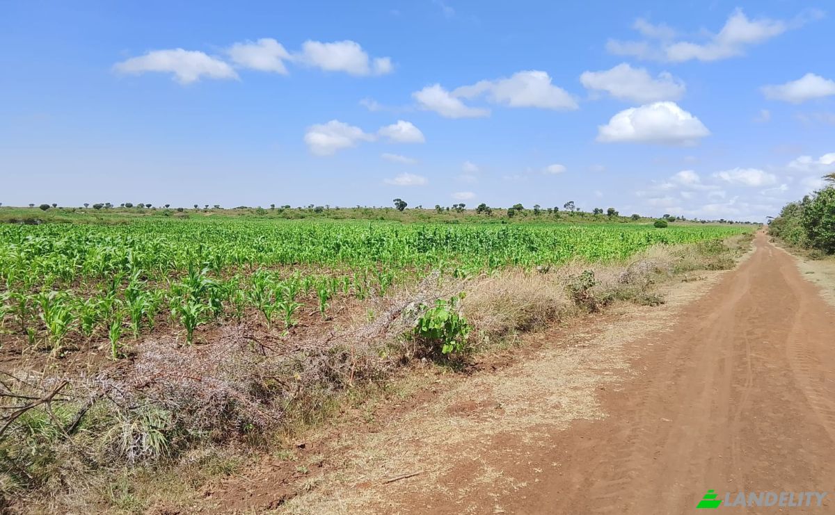 Boerderij/Ranch Te koop Sipili Town, Ngarua, Laikipia County, Kenya. Foto 4