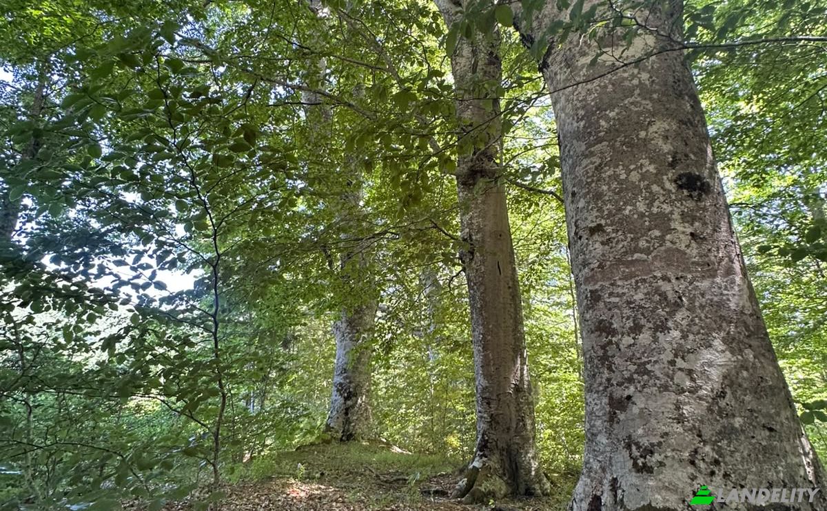 Lot de terrain à vendre 53000, Baske Ostarije, Opcina Karlobag, Lika-Senj County, Croatia. Photo 4