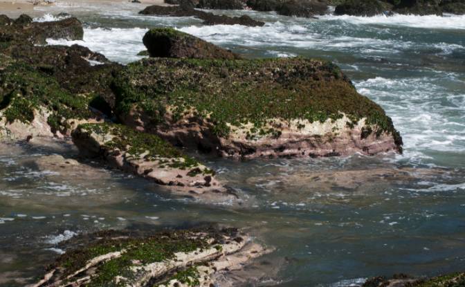 Lot de terrain à vendre R Tres Pontes, Ponta Negra. Photo#10 Lot de terrain à vendre R Tres Pontes, Ponta Negra. Photo#10