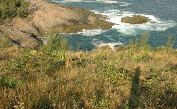 Lot de terrain à vendre R Tres Pontes, Ponta Negra. Photo#4 Lot de terrain à vendre R Tres Pontes, Ponta Negra. Photo#4