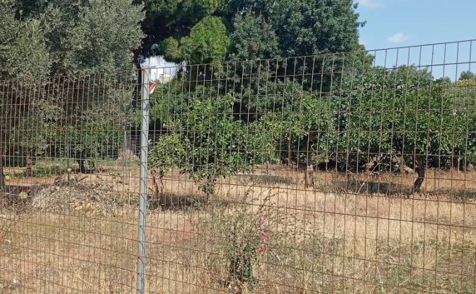 Lote de terreno en venta Megalocharis 1. Foto#2 Lote de terreno en venta Megalocharis 1. Foto#2