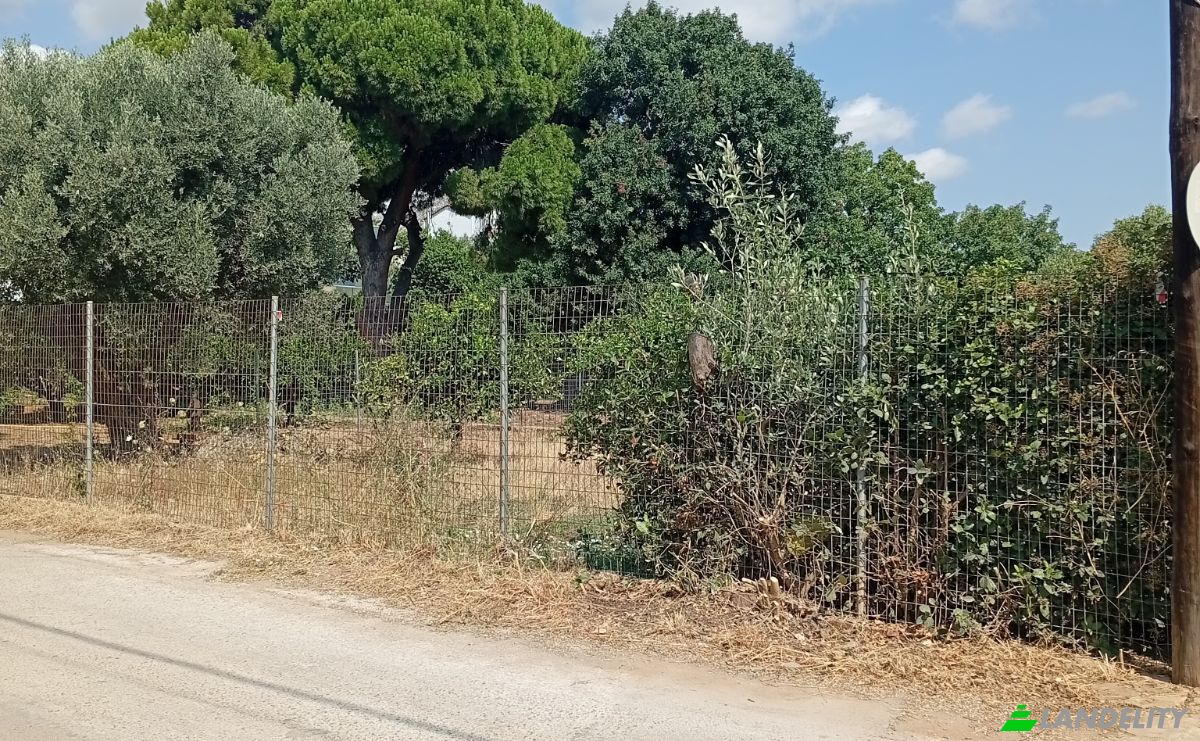 Lote de terreno en venta Megalocharis 1, Nea Makri 190 05, Nea Makri, Attica, Decentralized Administration of Attica, Greece. Foto 3